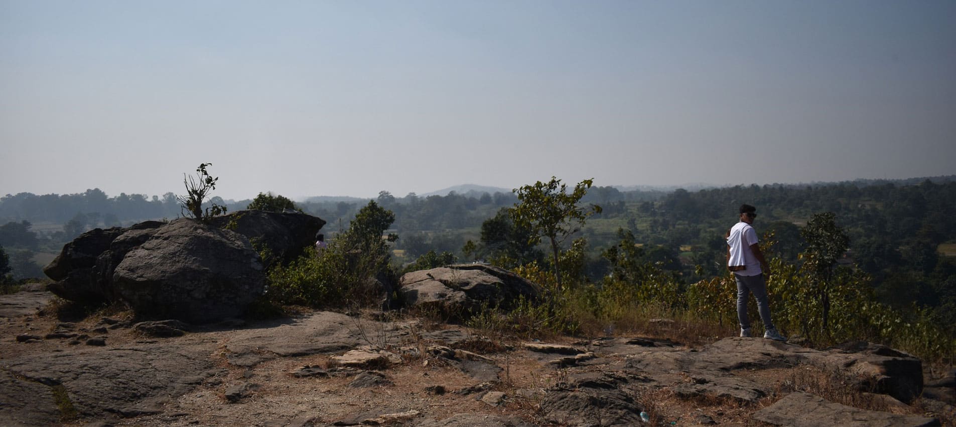 Brand section background image